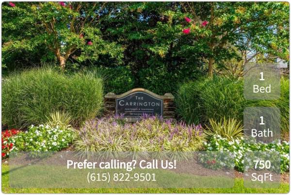 $1,250 / 1br - 750ft2 - Tasteful, stylish apartment! Beautiful crown molding! The Carrington (Hendersonville)63680301387265122