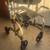 4 wheel folding walker 2 thumbnail