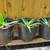 Moving! Aloe Plants! 3 thumbnail