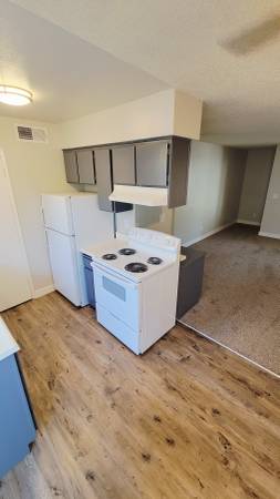$1,195 / 1br - 640ft2 - Chic 1 bed 1 bath! (Fresno)63873104494467122