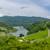 2+ Acres with Watauga Lake View! #838 9 thumbnail