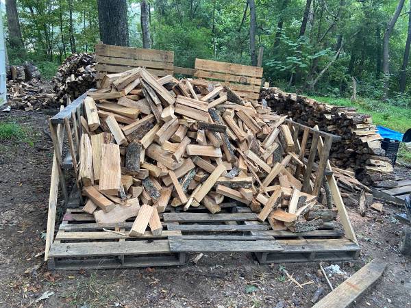 Fire Wood 1