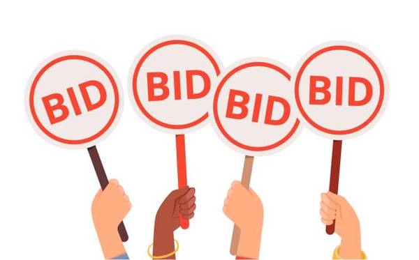 OUR NEXT AUCTION IS TUESDAY, NOVEMBER 18, 2025 1