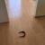 :):):):):):):):) ARMY VET, FLOORING INSTALLATION (:(:(:(:(:(:(: 3 thumbnail