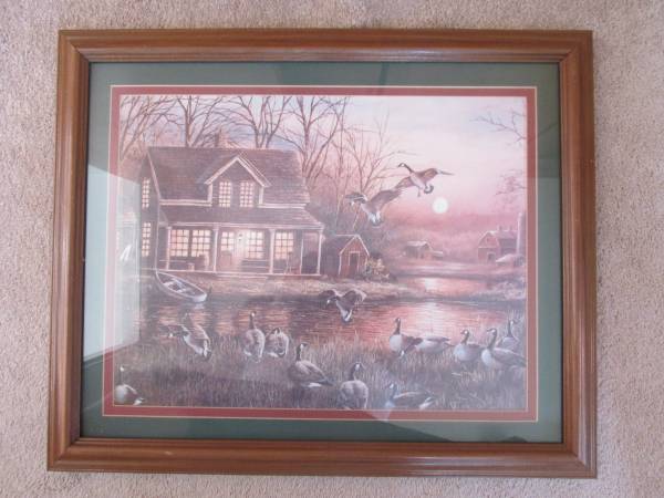 Picture with Geese 1