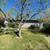 Sacramento 2BR/1BA Duplex, Easy Commuting near AR College 2 thumbnail
