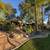 NEW🇺🇸🇺🇸! 15%discount available -Tree service and gardening 6 thumbnail