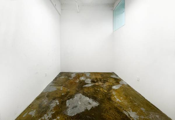 STUDIO 149: EFFICIENT ART STUDIO WITH SKYLIGHT & POLISHED FLOOR 1