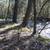 Homestead Land For Sale 20 thumbnail