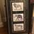 Triple Panel VNTG Zoological Prints Lion, Elephant, & Tiger Framed 3 thumbnail