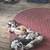 Kitties and cats 1 thumbnail