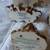 BOYDS BEARS COLLECTION 10 PIECES $10 EACH 8 thumbnail