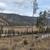 74.81 Acres of High-Potential Land 1 thumbnail