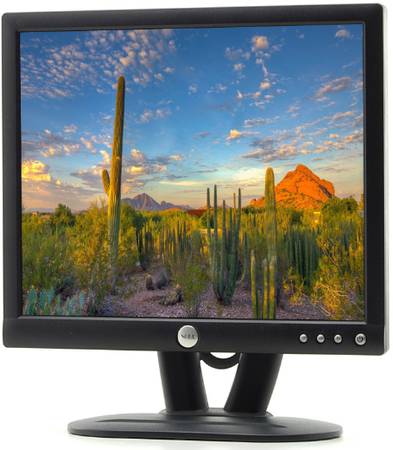 Dell 17 Inch E173FPc Monitor 1
