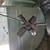 Light fixture 3 thumbnail
