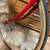 LADIES RED SCHWINN SPRINT TOURING 10-SPEED BICYCLE  w/BRAND NEW TIRES 14 thumbnail