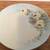 VTG M Z Altrohlau CMR Hand Painted Plate~ Czechoslovakia Yellow Floral 2 thumbnail