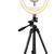 Firm Price! Brand New in a Box 10" LED Ring Light w/Tripod Stand 1 thumbnail