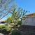 D & A TREE SERVICE FREE ESTIMATES (661)201-4306 13 thumbnail