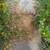 Need help with yard work - Gardener needed 8 thumbnail