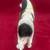 Cavilier King Charles Spaniel Black/White by Conversation Concepts 4 thumbnail