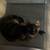 Tortie cat 1 thumbnail