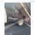 DUMP TRUCK FOR SALE 8 thumbnail