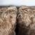 22" Faux Fur Brown Decorative Throw Pillows 3 thumbnail