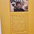 Tom Thomson: Design for a Canadian Hero by Joan Murray 8 thumbnail