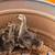 African goslings 3 thumbnail