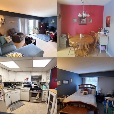 Nice one bedroom condo. 1