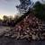 SEASONED FIREWOOD 4 thumbnail