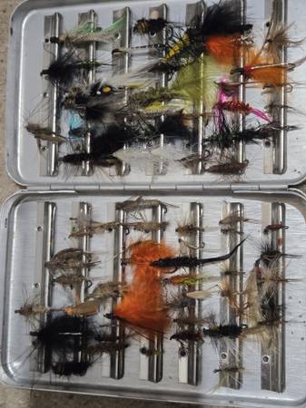 75 flies with Perrine number 92 case 1