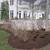 "SAILE" Landscaping 14 thumbnail