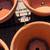 Assorted Terracotta and Ceramic Plant Pots 16 thumbnail