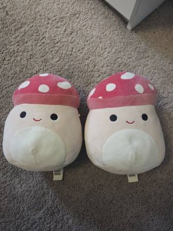 MALCOM squishmallows (x2) 1