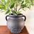 Black decorative vase 1 thumbnail