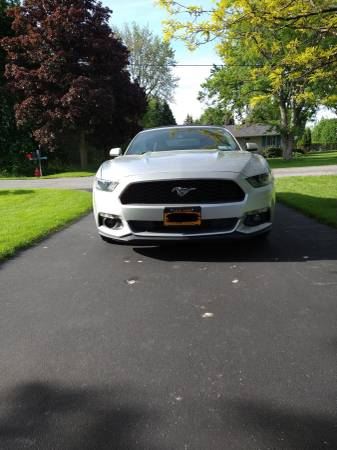 2015 Mustang Convertible Eco Boost - $14,800 (Lockport, NY)63483419028355121