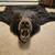 Black Bear Rug 2 thumbnail