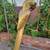 Pair of Brass and Copper Sergio Bustamante Parrots 11 thumbnail