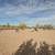 Wonderful 1106 sqft, 2 bed, 2 bath floorplan in Aurora 10 thumbnail