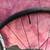 *NEW* Bontrager Paradigm SL Wheel Set 4 thumbnail