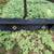 Primitive Coat Rack Shelf 1 thumbnail