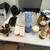 Moving Lot - Kitchenware & Home Decor (Everything for One Price!) 5 thumbnail