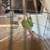 pineapple conures and green cheek 2 years old  selling both $400 5 thumbnail