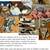 Rehoming Sibling Cats (Male + Female) 2 thumbnail