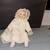 VTG The Christening Porcelain Baby Doll 15" Tall, Br Eyes, Blonde Hair 1 thumbnail