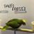 PARROTS 3 thumbnail