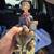Vintage limited edition porcelain organ grinder 1 thumbnail