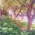Sundrenched XL 1br / 2br, laundry, elevator, gym, yard, VIDEO 13 thumbnail